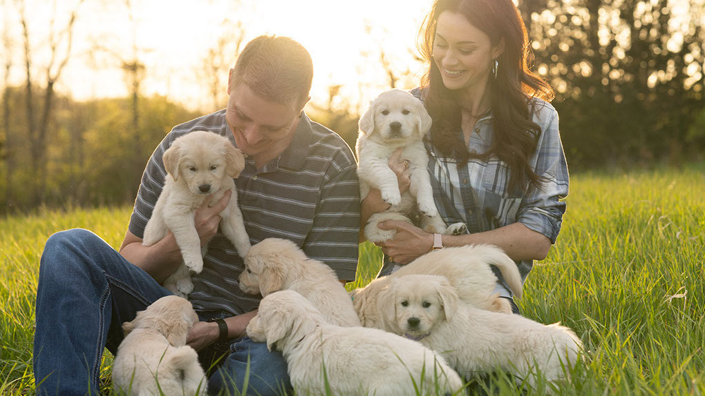 dsc00184-crop-u386929