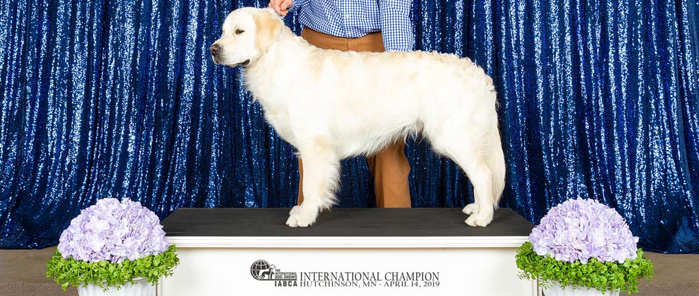 moose_stacked_podium_2019