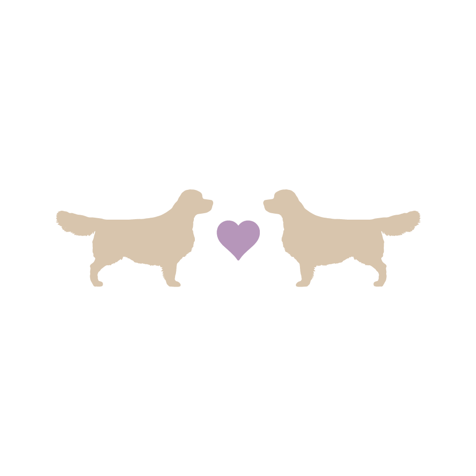 pregnancyannouncement