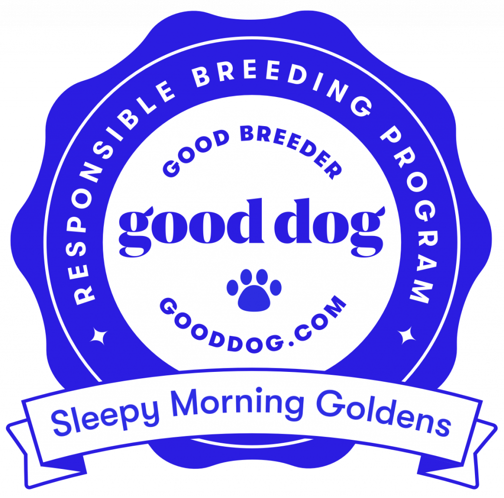 Responsible Breeding Program - Good Breeder - Good Dog - Gooddog.com - Sleepy Morning Goldens