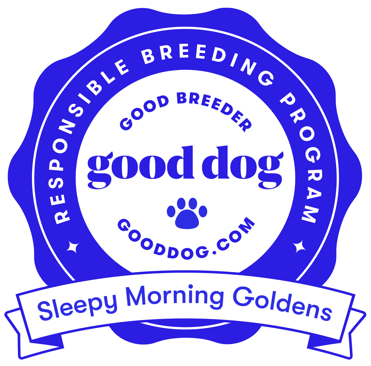 Responsible Breeding Program - Good Breeder - Good Dog - Gooddog.com - Sleepy Morning Goldens